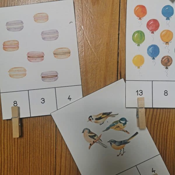 exemples de cartes illustrées : compter 4 oiseaux, 8 coquillages, 13 ballons