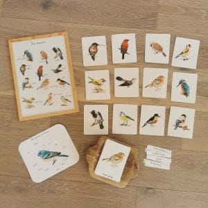 Cartes de nomenclatures Montessori des oiseaux