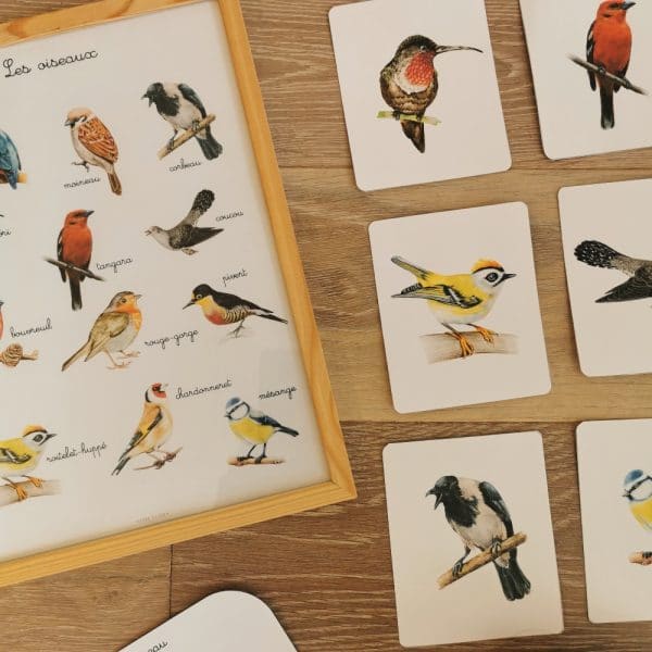 Les oiseaux : Images classifiées et Nomenclatures Montessori