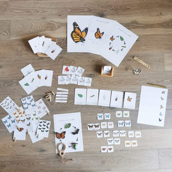 imagier montessor du cycle du papillon, cartes de nomenclature, memo, cartes pour compter montessori